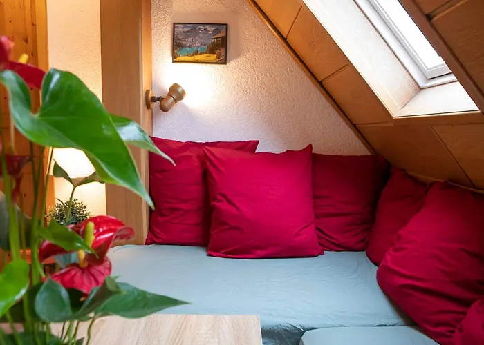 Green Appart Europa Lodge Standing Et Familial Pres Europa-Park